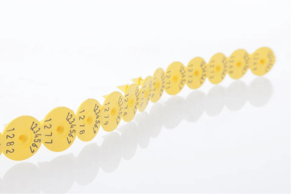 Anwendungsbeispiel Serienteil